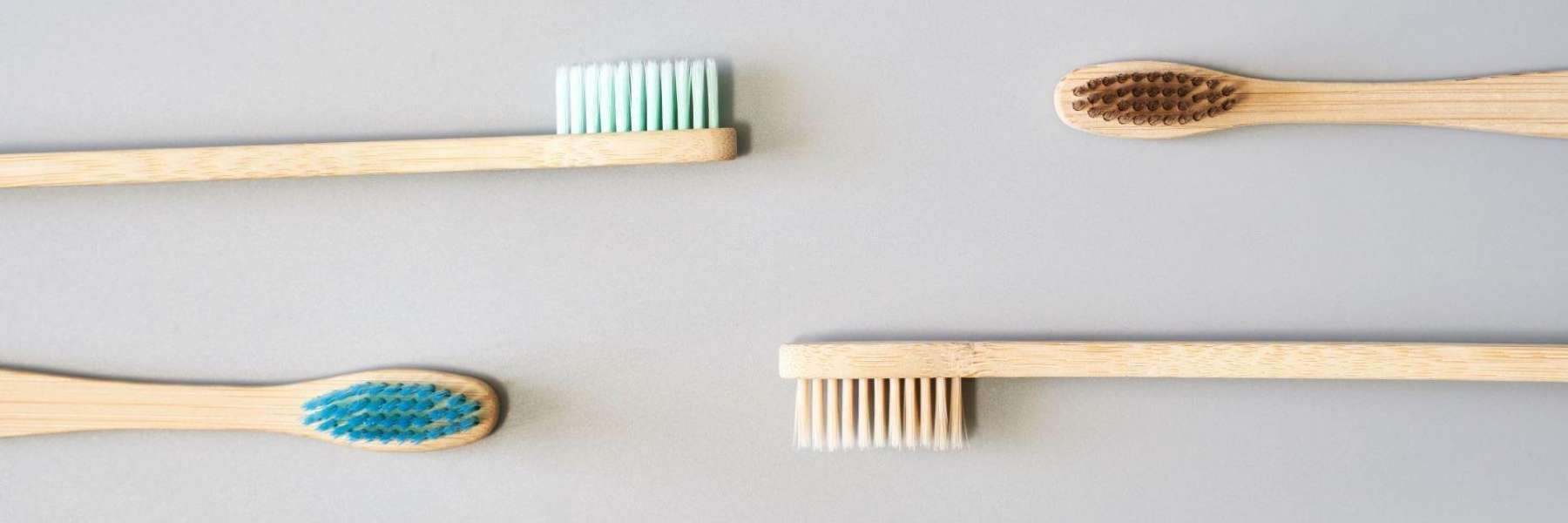 Toothbrushes are an important part of maintaining oral hygiene in Humble